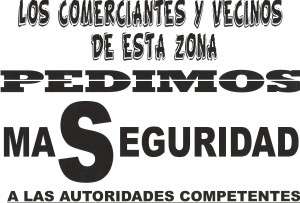 SEGURIDAD CIUDADAN.